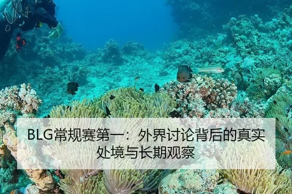 BLG常规赛第一：外界讨论背后的真实处境与长期观察 - hth